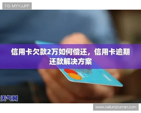 如何应对凯发手机会员登录不了的问题？详细解决方案推荐